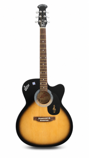 Signature Acoustic Guitar